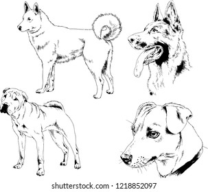 vector drawings sketches pedigree dogs in the racks drawn in ink by hand , objects with no background