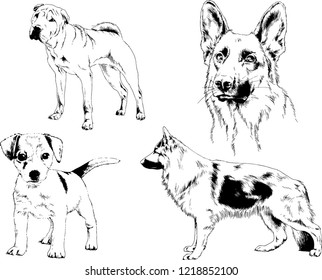 vector drawings sketches pedigree dogs in the racks drawn in ink by hand , objects with no background