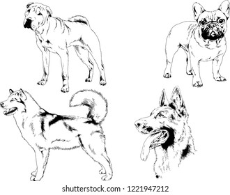 vector drawings sketches pedigree dogs in the racks drawn in ink by hand , objects with no background