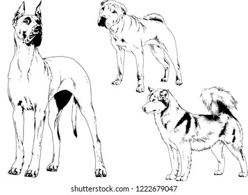 vector drawings sketches pedigree dogs in the racks drawn in ink by hand , objects with no background