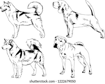 vector drawings sketches pedigree dogs in the racks drawn in ink by hand , objects with no background