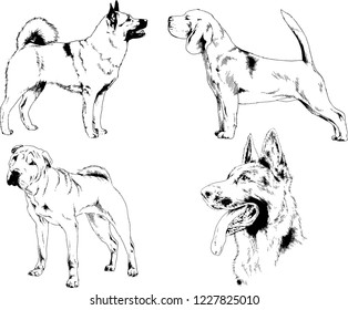 vector drawings sketches pedigree dogs in the racks drawn in ink by hand , objects with no background
