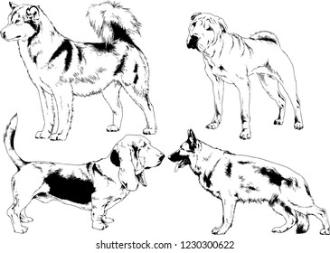 vector drawings sketches pedigree dogs in the racks drawn in ink by hand , objects with no background