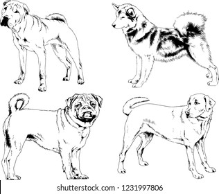 vector drawings sketches pedigree dogs in the racks drawn in ink by hand , objects with no background