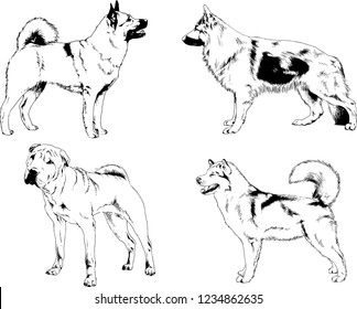vector drawings sketches pedigree dogs in the racks drawn in ink by hand , objects with no background