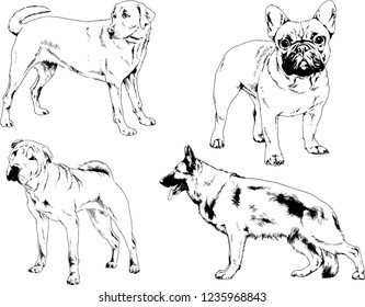 vector drawings sketches pedigree dogs in the racks drawn in ink by hand , objects with no background