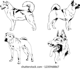 vector drawings sketches pedigree dogs in the racks drawn in ink by hand , objects with no background