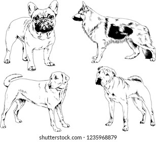 vector drawings sketches pedigree dogs in the racks drawn in ink by hand , objects with no background