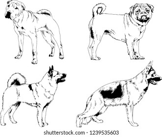 vector drawings sketches pedigree dogs in the racks drawn in ink by hand , objects with no background