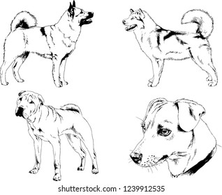 vector drawings sketches pedigree dogs in the racks drawn in ink by hand , objects with no background