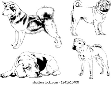 vector drawings sketches pedigree dogs in the racks drawn in ink by hand , objects with no background
