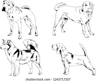 vector drawings sketches pedigree dogs in the racks drawn in ink by hand , objects with no background