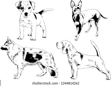 vector drawings sketches pedigree dogs in the racks drawn in ink by hand , objects with no background
