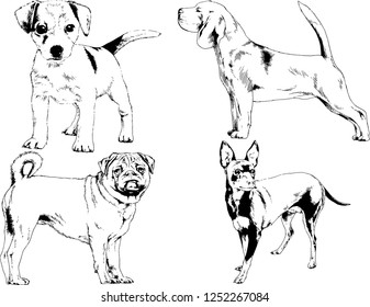 vector drawings sketches pedigree dogs in the racks drawn in ink by hand , objects with no background