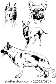 vector drawings sketches pedigree dogs in the racks drawn in ink by hand , objects with no background