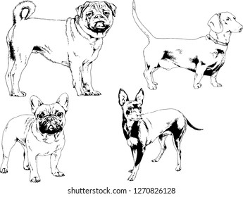 vector drawings sketches pedigree dogs in the racks drawn in ink by hand , objects with no background