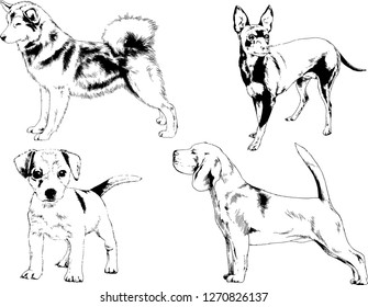 vector drawings sketches pedigree dogs in the racks drawn in ink by hand , objects with no background
