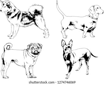 vector drawings sketches pedigree dogs in the racks drawn in ink by hand , objects with no background