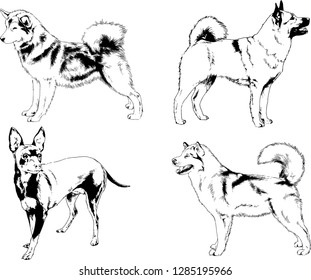 vector drawings sketches pedigree dogs in the racks drawn in ink by hand , objects with no background