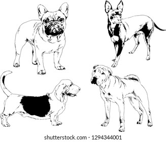 vector drawings sketches pedigree dogs in the racks drawn in ink by hand , objects with no background