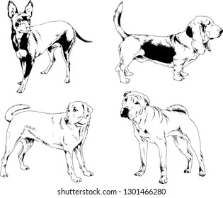 vector drawings sketches pedigree dogs in the racks drawn in ink by hand , objects with no background