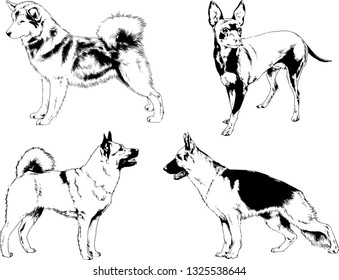 vector drawings sketches pedigree dogs in the racks drawn in ink by hand , objects with no background