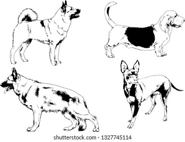 vector drawings sketches pedigree dogs in the racks drawn in ink by hand , objects with no background
