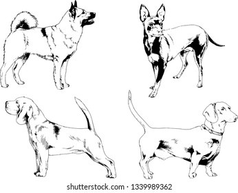 vector drawings sketches pedigree dogs in the racks drawn in ink by hand , objects with no background