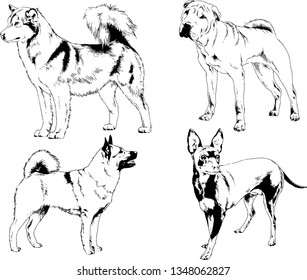 vector drawings sketches pedigree dogs in the racks drawn in ink by hand , objects with no background