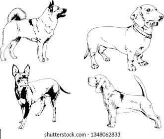 vector drawings sketches pedigree dogs in the racks drawn in ink by hand , objects with no background