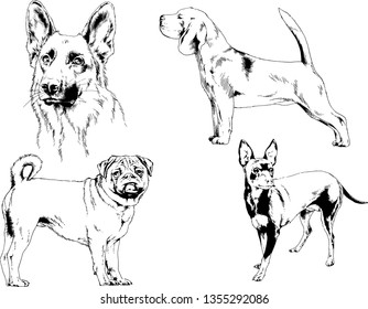 vector drawings sketches pedigree dogs in the racks drawn in ink by hand , objects with no background