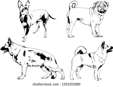 vector drawings sketches pedigree dogs in the racks drawn in ink by hand , objects with no background