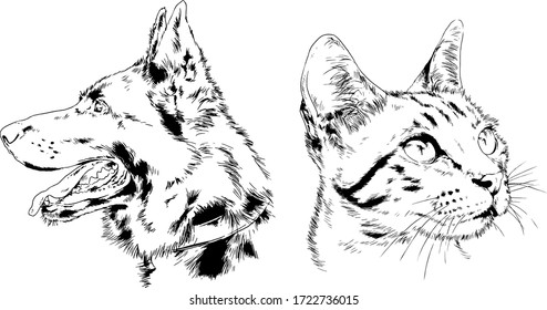 vector drawings sketches pedigree dogs and cats  drawn in ink by hand , objects with no background