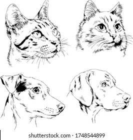 vector drawings sketches pedigree dogs and cats  drawn in ink by hand , objects with no background