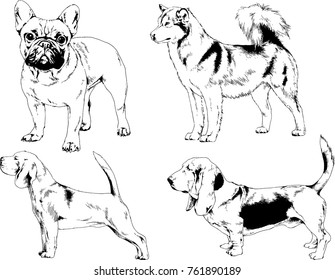 vector drawings sketches pedigree dogs in the racks drawn in ink by hand , objects with no background