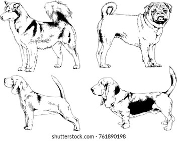 vector drawings sketches pedigree dogs in the racks drawn in ink by hand , objects with no background