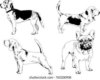 vector drawings sketches pedigree dogs in the racks drawn in ink by hand , objects with no background