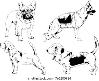 vector drawings sketches pedigree dogs in the racks drawn in ink by hand , objects with no background