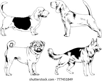 vector drawings sketches pedigree dogs in the racks drawn in ink by hand , objects with no background