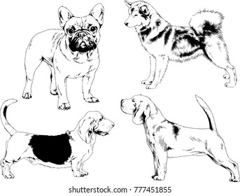 vector drawings sketches pedigree dogs in the racks drawn in ink by hand , objects with no background