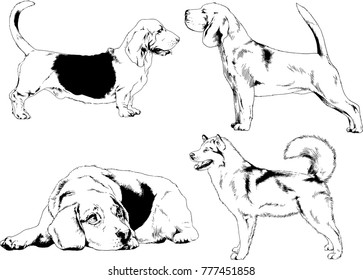 vector drawings sketches pedigree dogs in the racks drawn in ink by hand , objects with no background