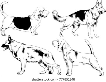 vector drawings sketches pedigree dogs in the racks drawn in ink by hand , objects with no background