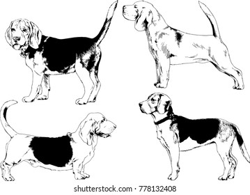 vector drawings sketches pedigree dogs in the racks drawn in ink by hand , objects with no background