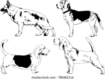 vector drawings sketches pedigree dogs in the racks drawn in ink by hand , objects with no background
