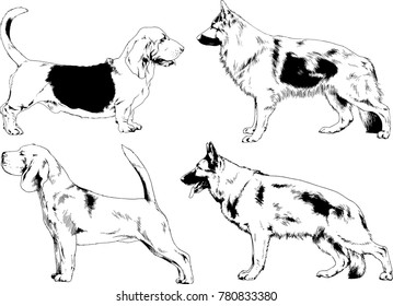 vector drawings sketches pedigree dogs in the racks drawn in ink by hand , objects with no background