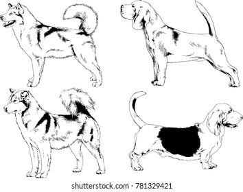 vector drawings sketches pedigree dogs in the racks drawn in ink by hand , objects with no background