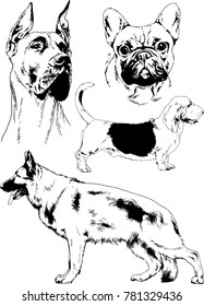 vector drawings sketches pedigree dogs in the racks drawn in ink by hand , objects with no background