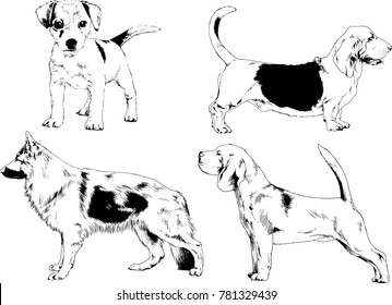 vector drawings sketches pedigree dogs in the racks drawn in ink by hand , objects with no background