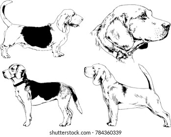 vector drawings sketches pedigree dogs in the racks drawn in ink by hand , objects with no background