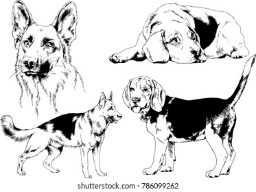 vector drawings sketches pedigree dogs in the racks drawn in ink by hand , objects with no background